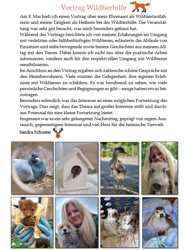 Vortrag Wildtierhilfe